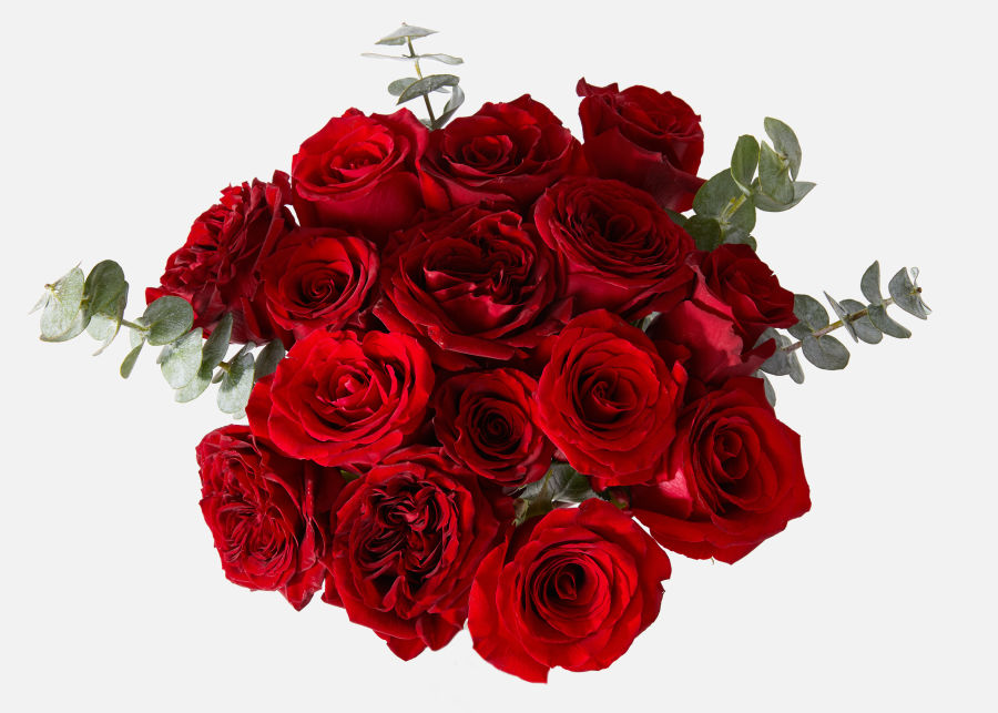 Full View of The Rouge image number 1
